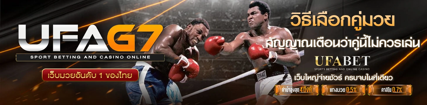 วิธีเลือกแทงมวย